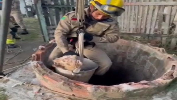 Cãozinho é resgatado de poço por bombeiros em Cruzeiro do Sul